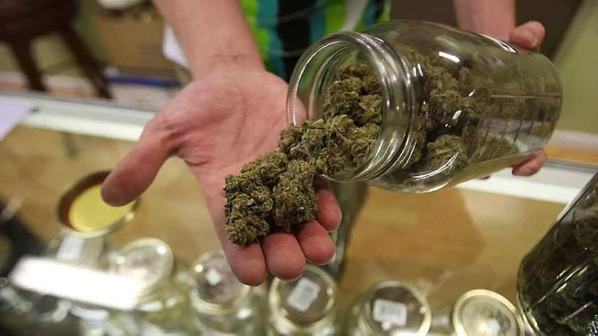 Que se venda mariguana, pero de manera controlada