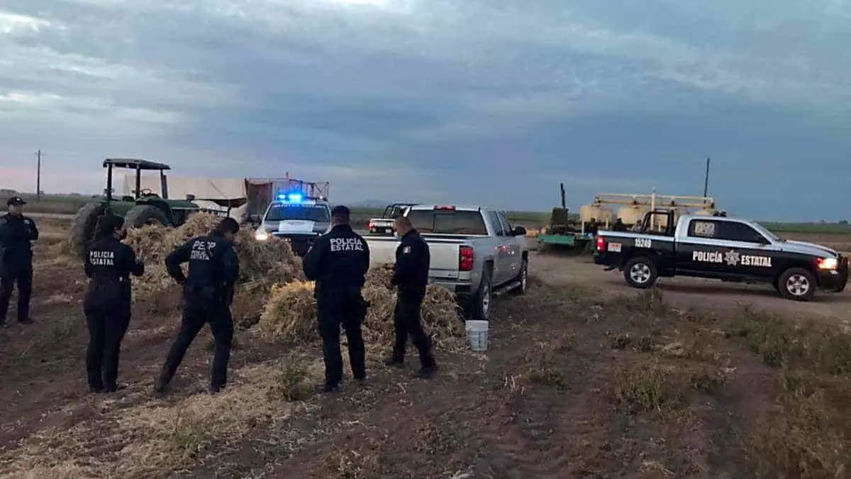 Delincuencia ataca el valle