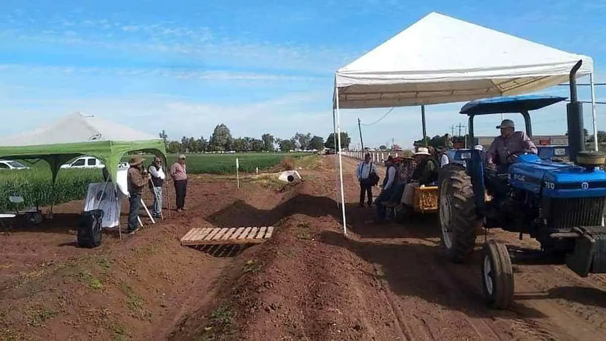 Hombres del campo festejarán su día de manera virtual