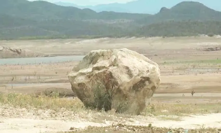 Prevén catástrofe en la agricultura del Valle del Mayo
