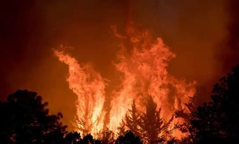 Avanza incendio forestal en Nuevo León