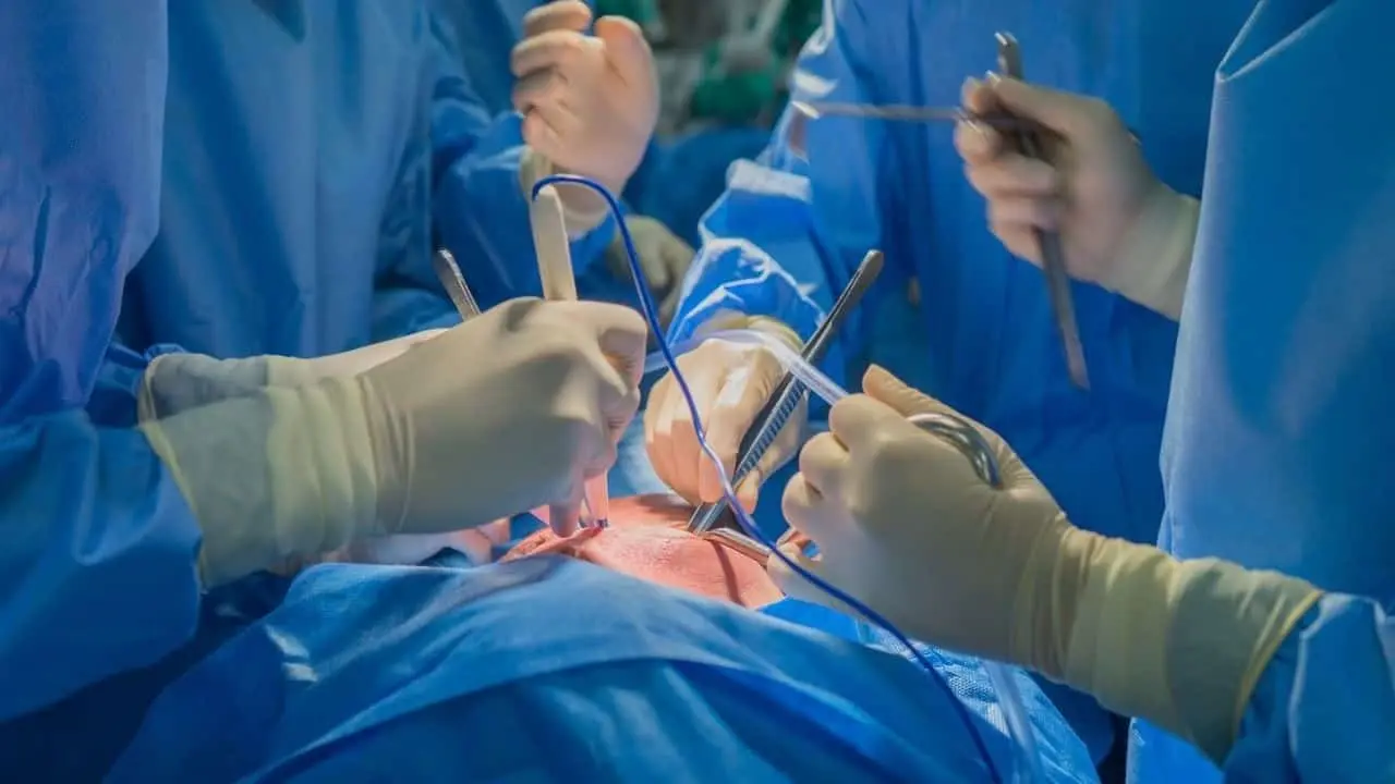 Paciente covid recibe pulmones de hombre que estuvo infectado