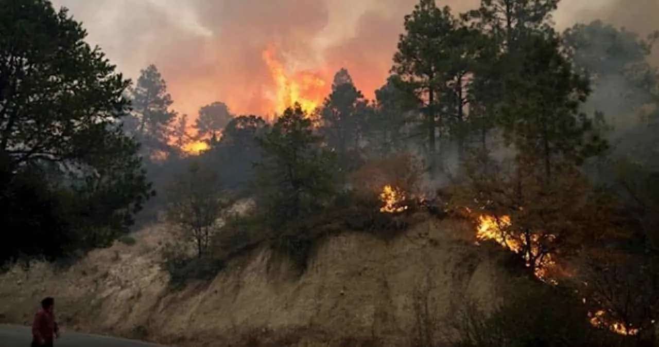 Incendio forestal inicia en cabaña