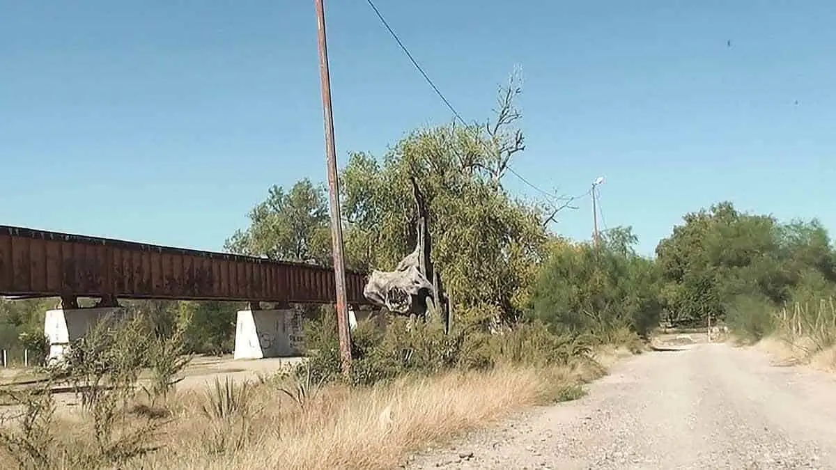 No pedirán prueba Covid para ingresar al Río Mayo