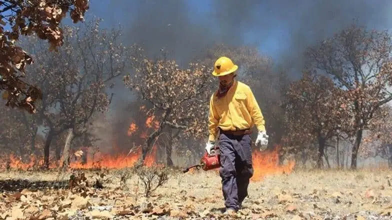 Comenzará la época de incendios forestales en Sonora