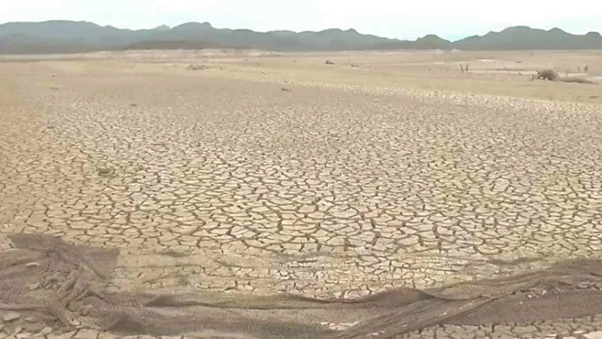 Visualizan otro año seco en el Valle del Mayo