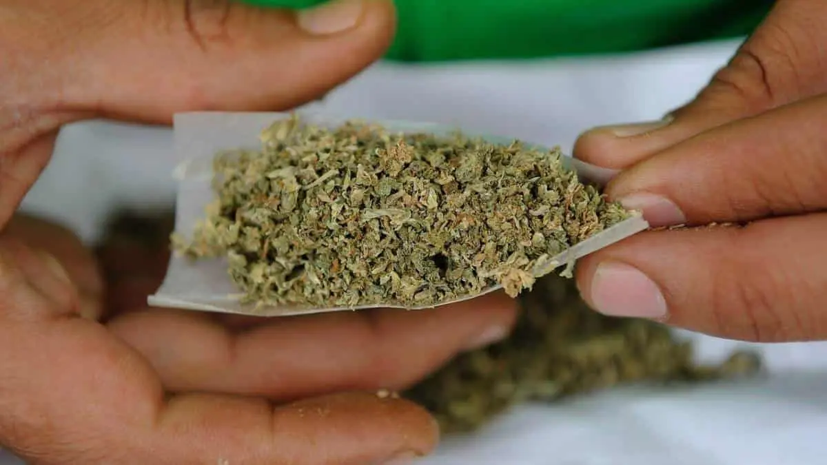 Nueva York legaliza la mariguana