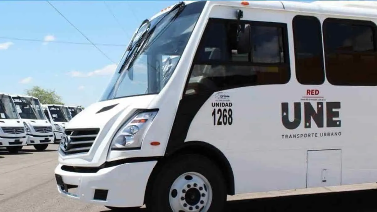 Transporte público, desorganizado