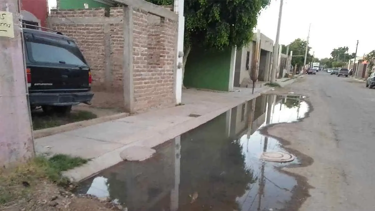 Pestilentes olores en Cócorit