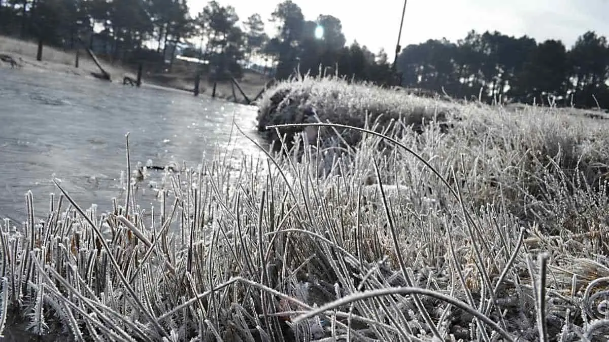 Se esperan heladas en la zona serrana de Sonora