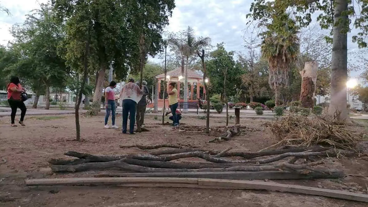 Derriban ramada tradicional de Cócorit
