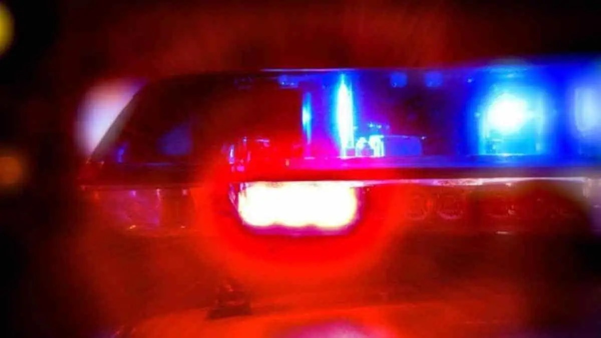 Harta de las agresiones de su hijo, lo mata a machetazos