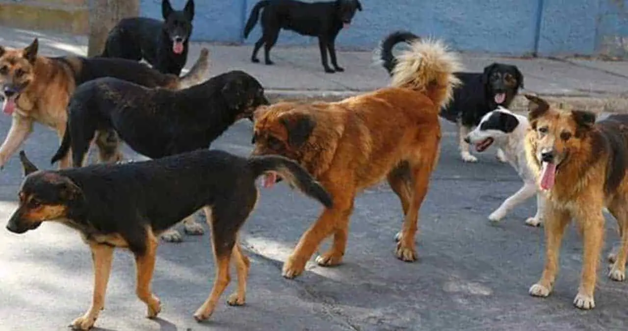 Niegan quirófanos pero siguen sin uso