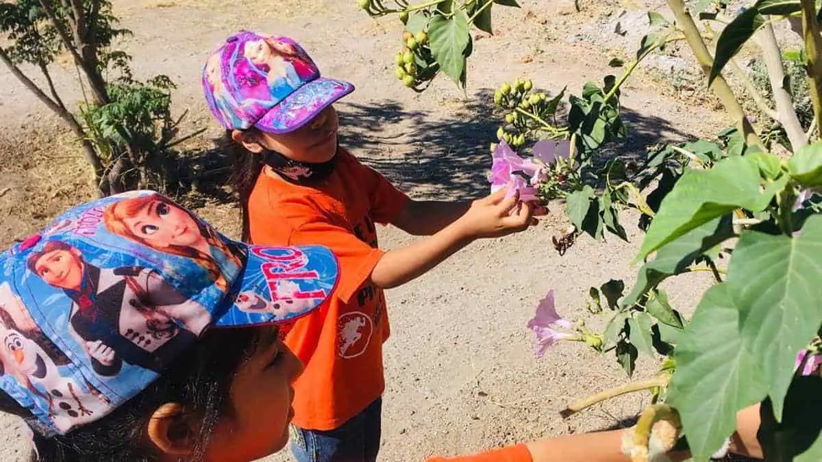 Niñas y niños deben involucrarse en temas del cuidado el medio ambiente