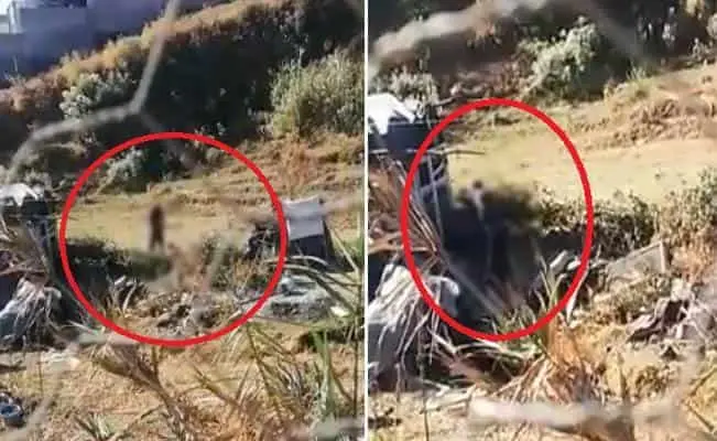 Video. Graban a sujeto golpeando brutalmente a sus hijitas de 6 y 5 años