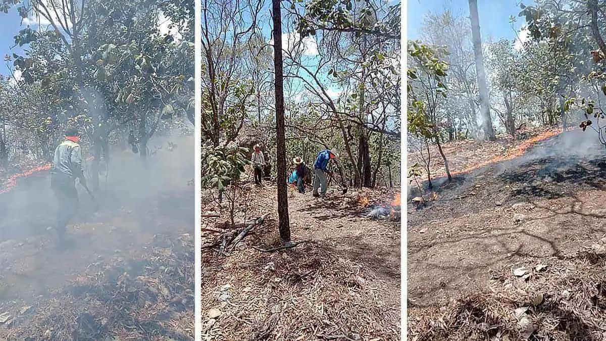 Provocan el fuego en zonas serranas: NCI
