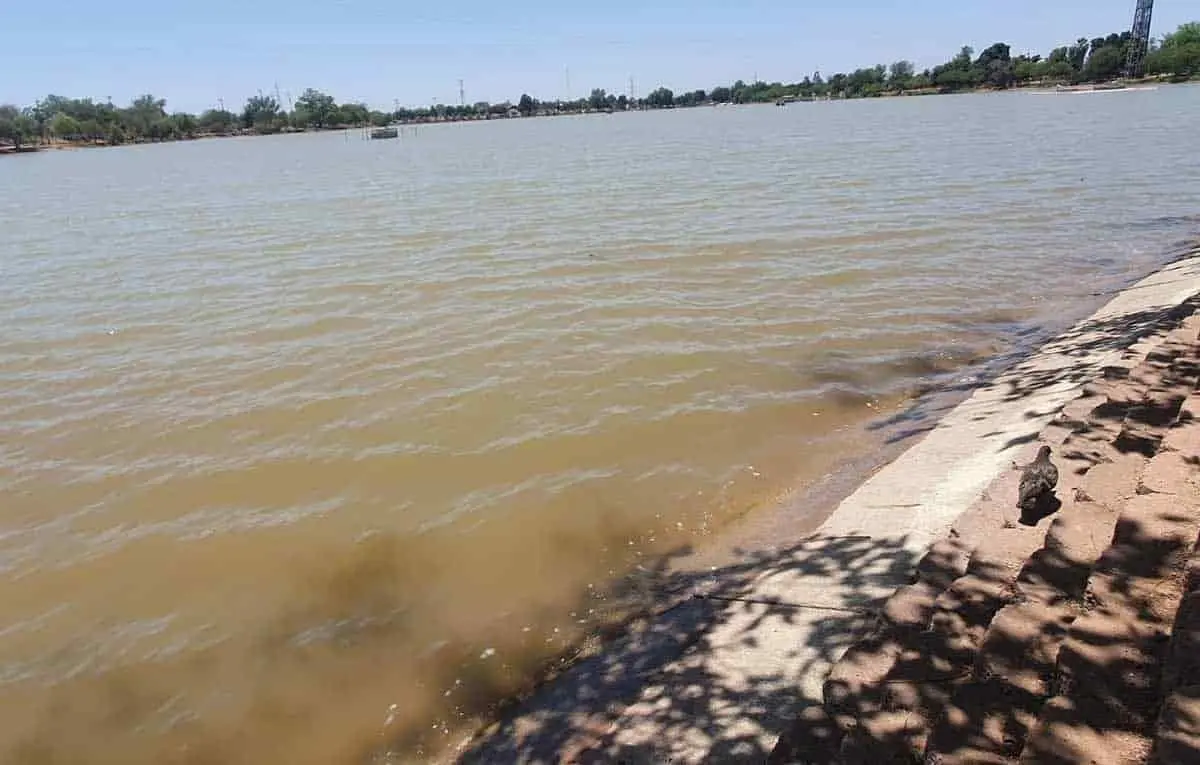 Tendrá agua la Laguna