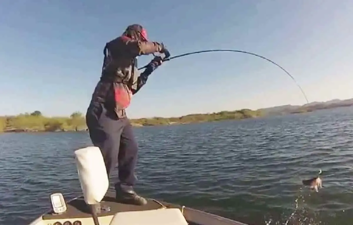 Pesca, en crisis