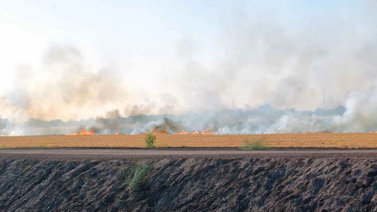 Arde el valle