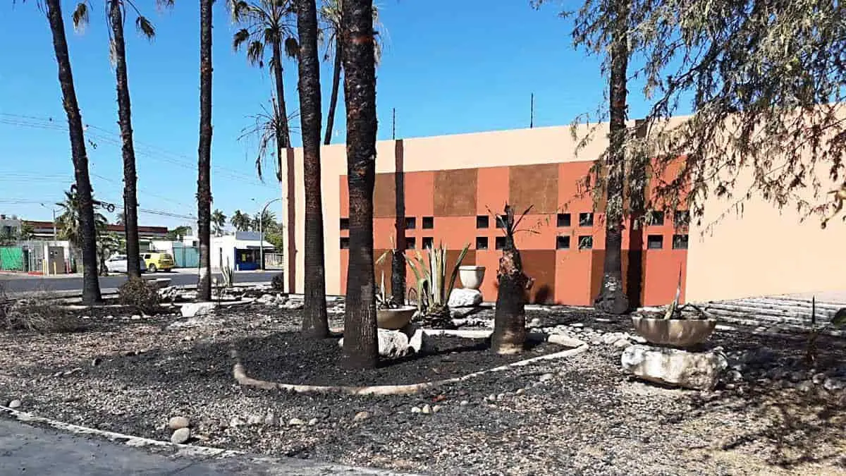 Ecocidio en el Centro de las Artes de la Unison