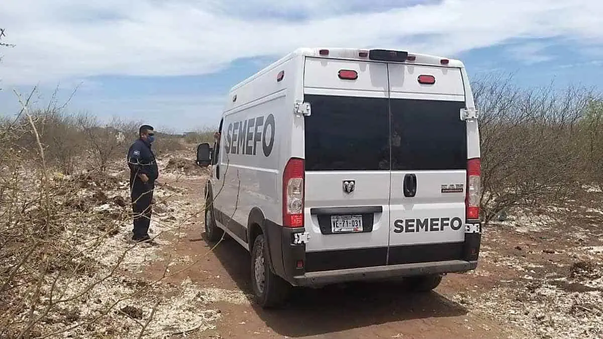 Hallan cadáver al sur del Henequén