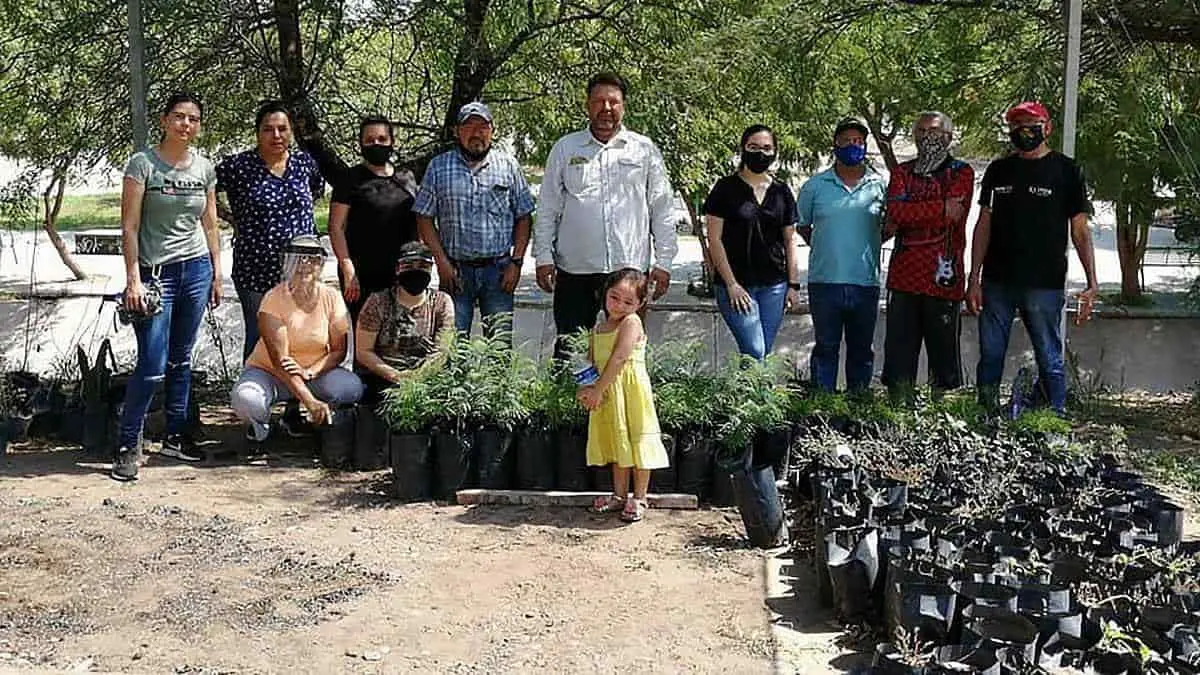 Se roban las plantas en vivero la Laguna