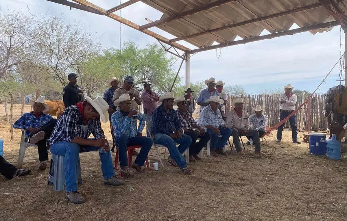 "Rescatan" territorio colindante a yaquis