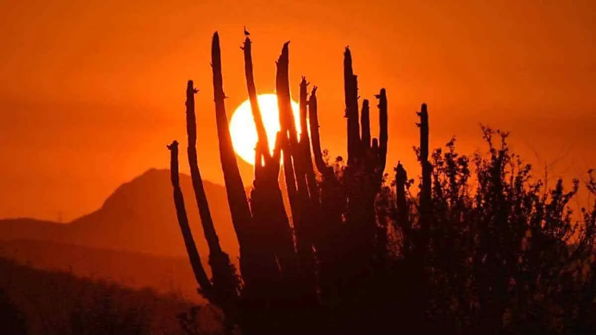 Se disparará la temperatura en Sonora