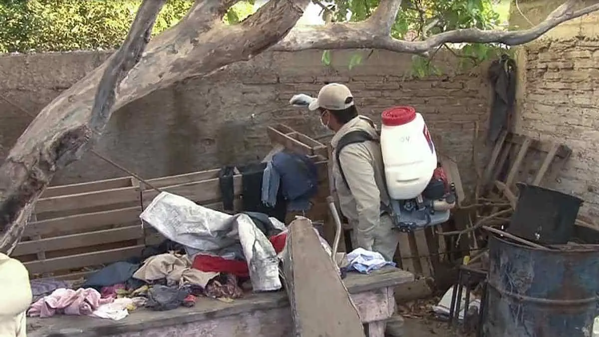 Buscan bajar reproducción del mosco del dengue