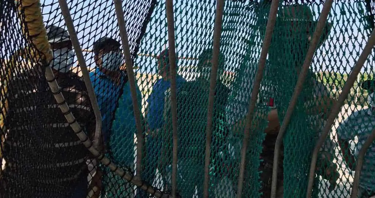 Capacitan a pescadores de Puerto Peñasco