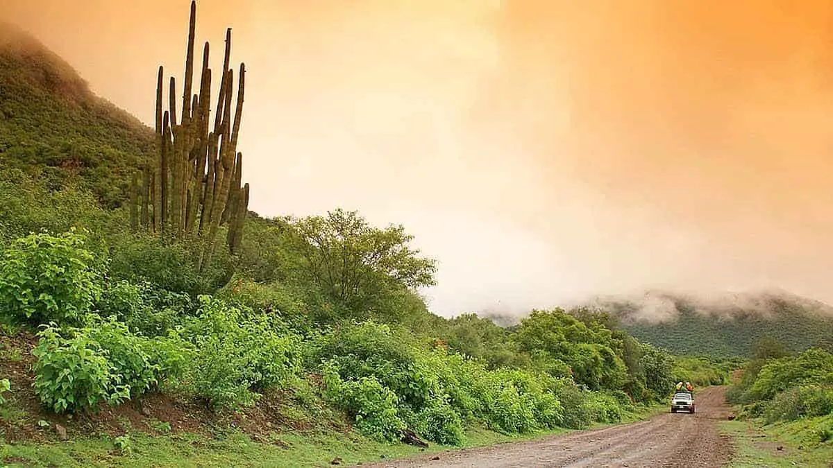 Se esperan lluvias de hasta 50 mm en la sierra