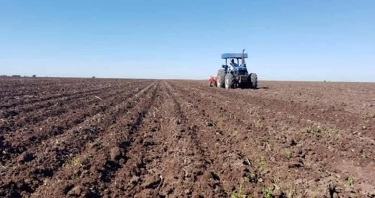 Sequía, agudiza crisis en campo