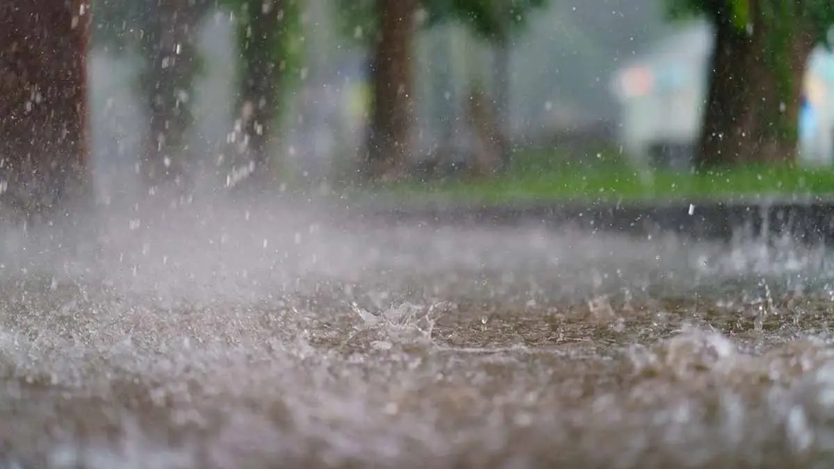 Llegarán lluvias