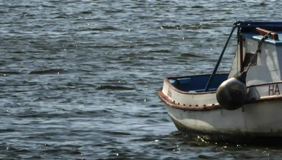 Localizan barco a la deriva con 20 cadáveres