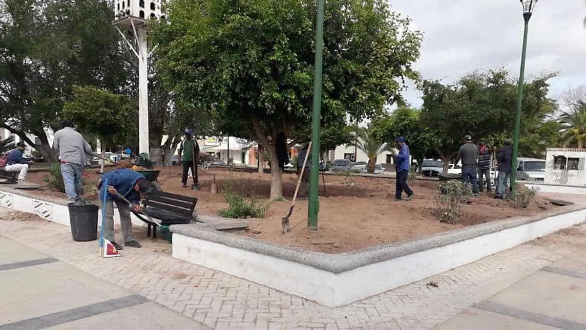 Critican pasto sintético en plaza de Huatabampo