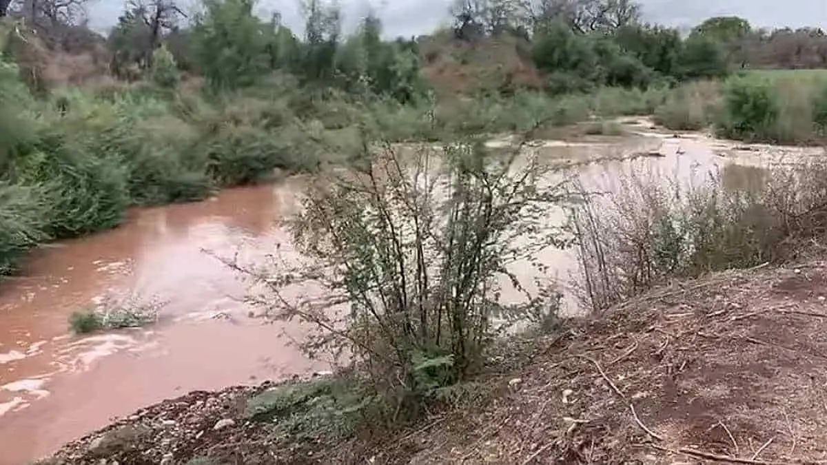 Vuelve vida al río Mayo