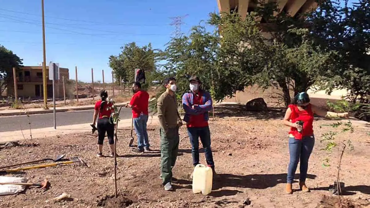 Dejarán huella con campaña de reforestación