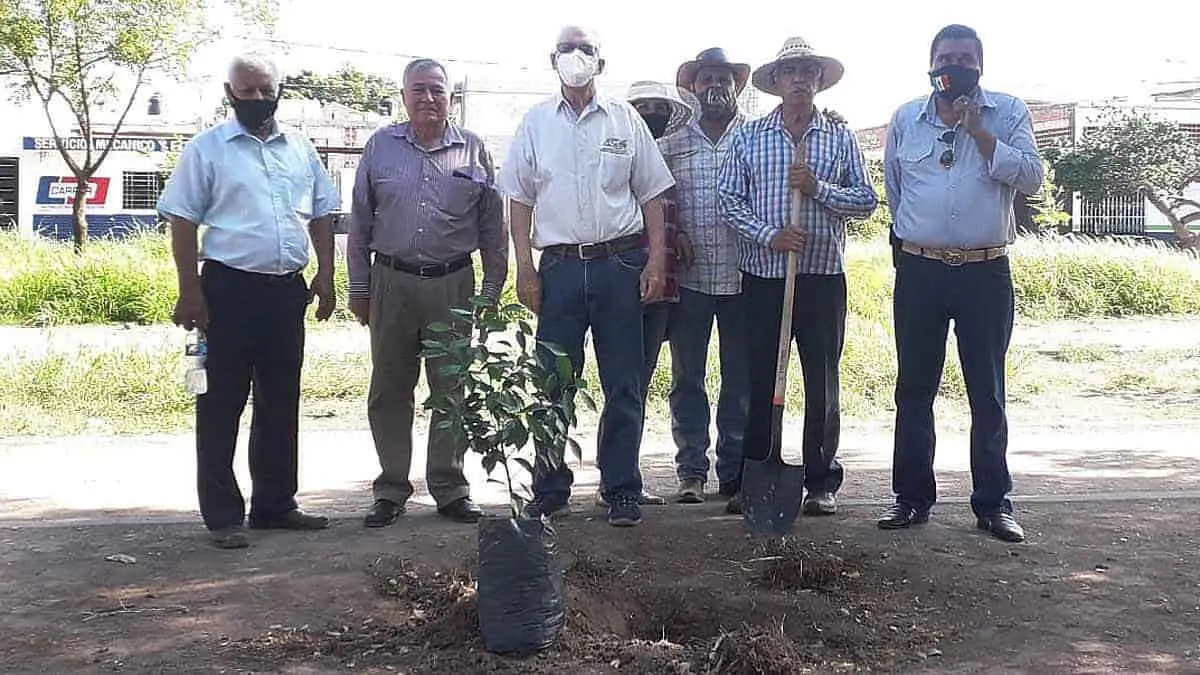 Celebran el Día del Árbol con reforestación del bulevar Ramírez