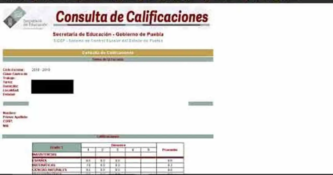 Revise las calificaciones en línea: SEP