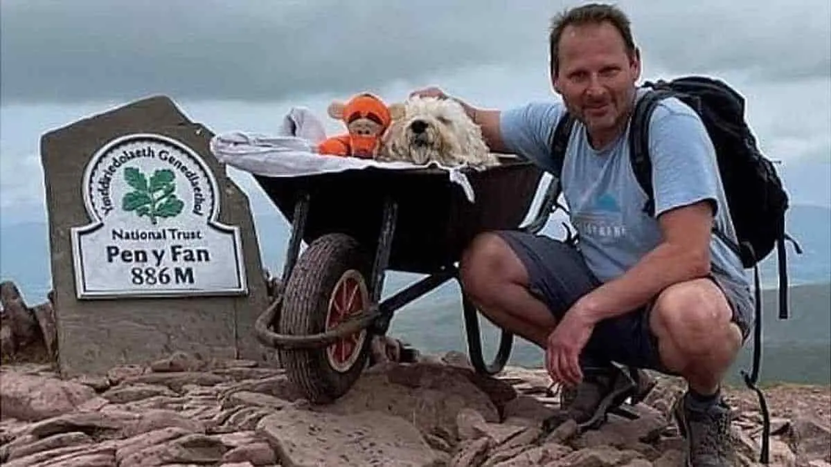 Perrito sube por última vez su montaña antes de morir de cáncer