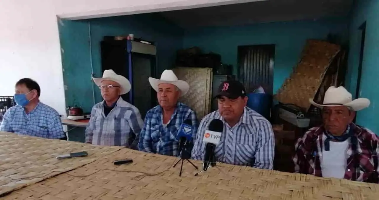 Buscan sembrar droga en territorio yaqui: Loma de Bácum