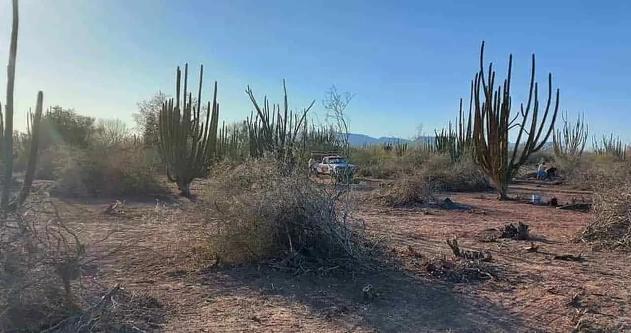 Desaparecen a Tropa Yoemia en territorio yaqui