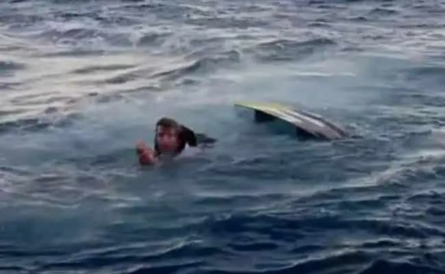 Video. Tiburón ataca y casi mata a actor de "Jackass"
