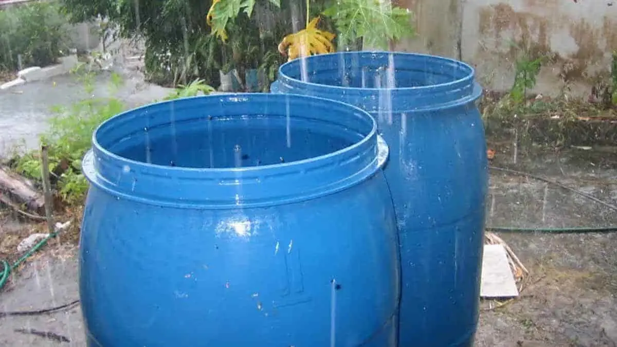Cosechan el agua de las lluvias