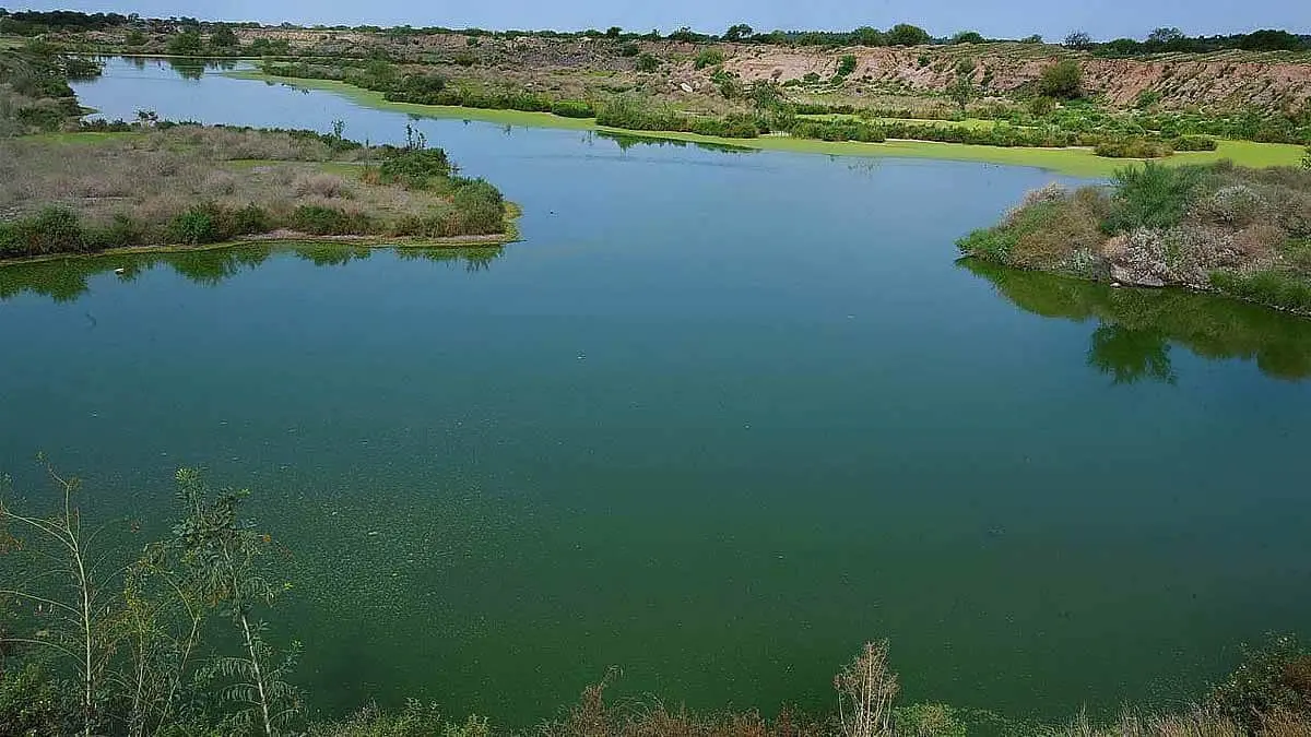 Se espera que Hermosillo tenga más Áreas Naturales Protegidas