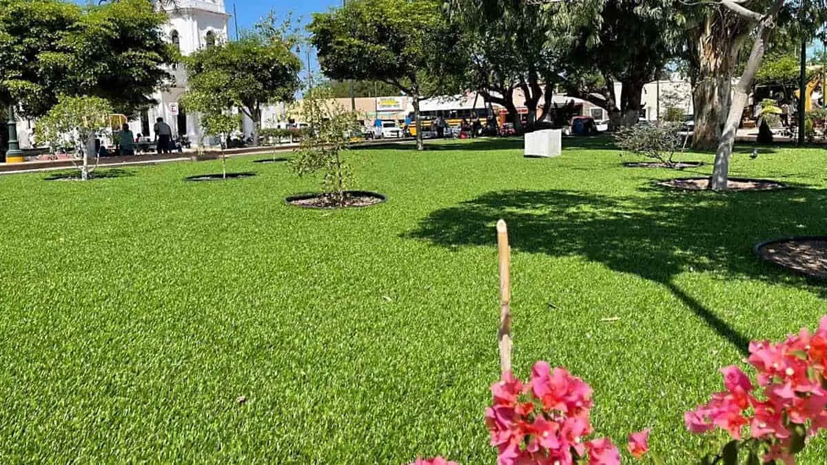 Ni los vieron ni oyeron: pasto sintético en plaza