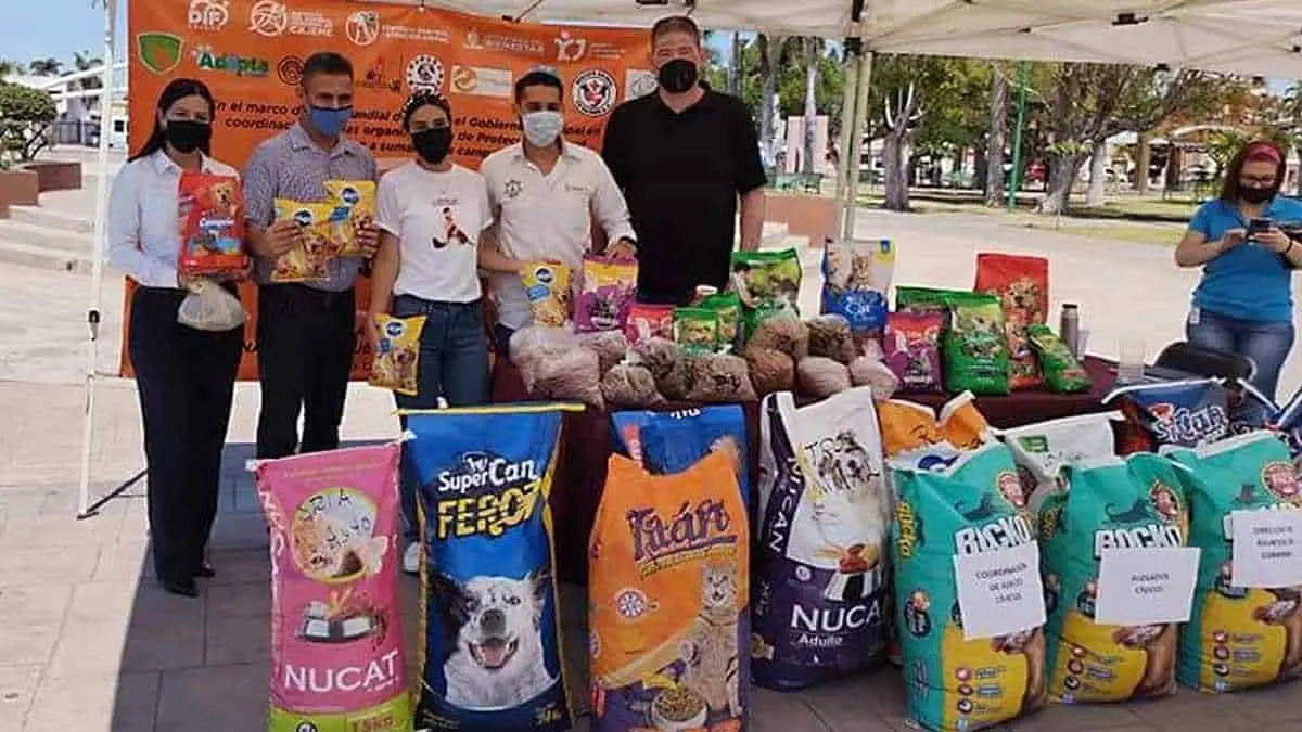 Concluye el Croquetón