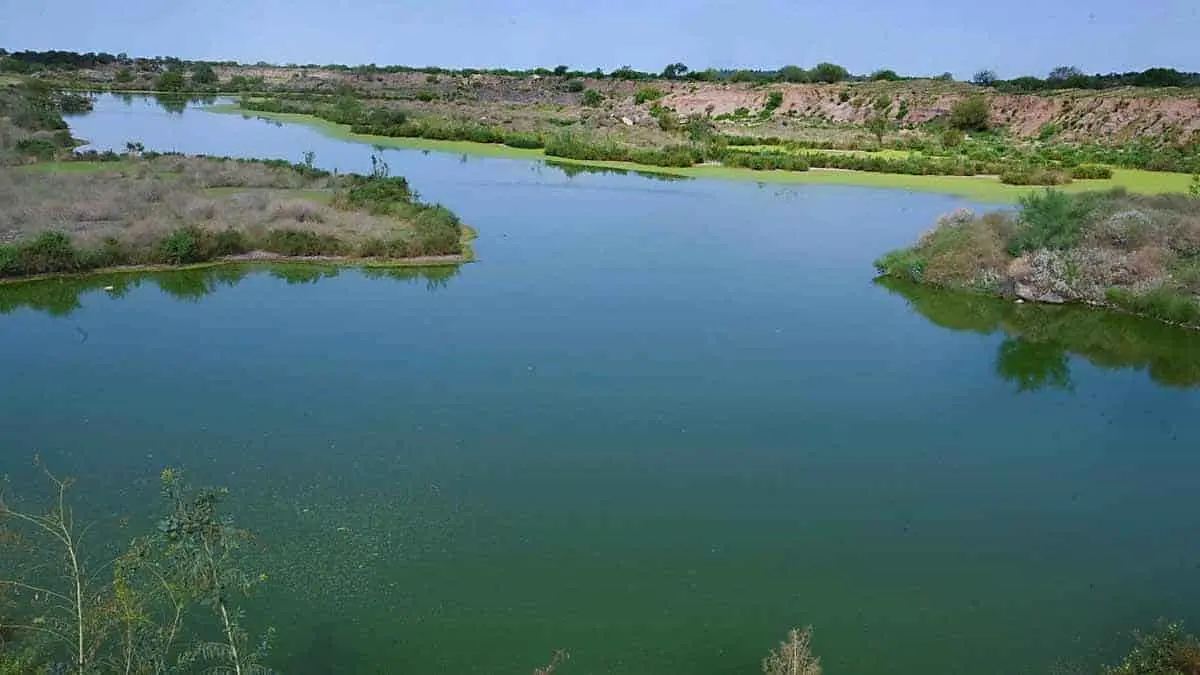 Área natural protegida en Hermosillo conservará a flora y fauna
