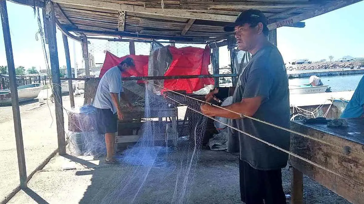 Pescadores se alistan para la captura de camarón