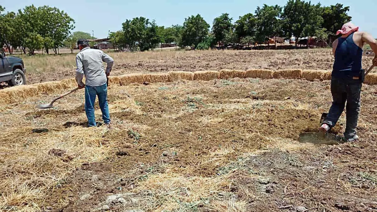 Suelos del Valle del Yaqui están devastados